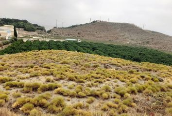 Terreno en  Motril, Granada Provincia