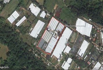 Lote de Terreno en  Tétela Del Monte, Cuernavaca, Morelos