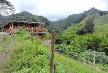 Lote de Terreno en  Chinchiná, Caldas