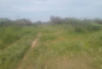 Lote de Terreno en  Carretera Tanque Grande - Planta Cfe, Mexquitic De Carmona, San Luis Potosí, 78464, Mex