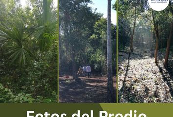 Lote de Terreno en  Puerto Morelos, Quintana Roo