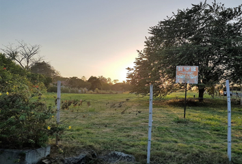 Lotes y Terrenos en  Playa Coronado, Chame