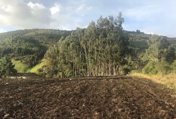 Lote de Terreno en  Calle 5 6-99-6-1, Sesquilé, Cundinamarca, Col