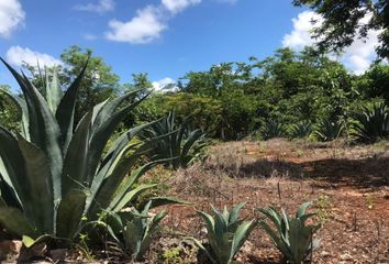 Lote de Terreno en  Kantunil, Yucatán