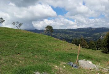 Lote de Terreno en  El Zango, Guarne, Antioquia, Col