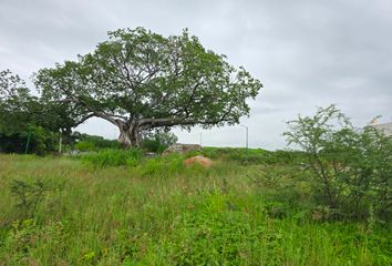 Lote de Terreno en  Santa Fe, Villa De Álvarez