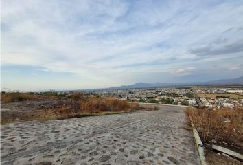 Lote de Terreno en  Camino Real, Sahuayo De Morelos