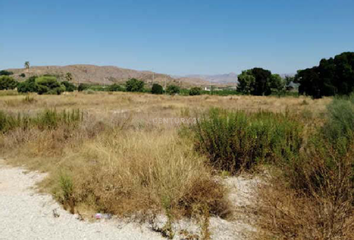 Terreno en  Orihuela, Alicante Provincia