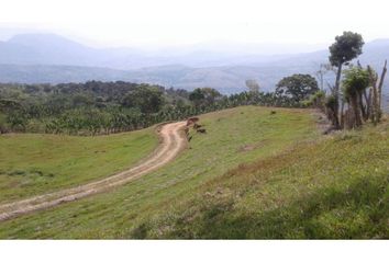 Lote de Terreno en  Caicedo, Antioquia