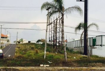 Lote de Terreno en  Punta Tiburón, Alvarado, Veracruz