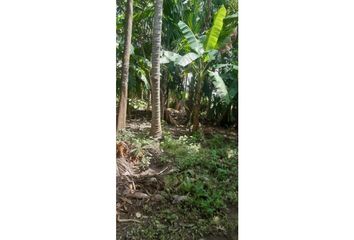 Lote de Terreno en  La Castellana, Montería