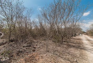 Lote de Terreno en  Cholul, Mérida, Yucatán, Mex