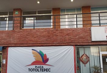 Casa en  Zopilocalco Sur, Toluca