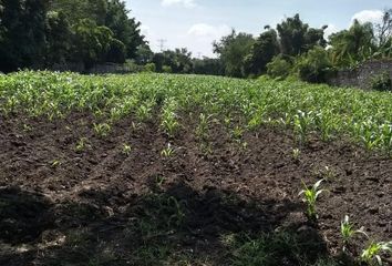 Lote de Terreno en  Fraccionamiento Residencial Yautepec, Yautepec De Zaragoza