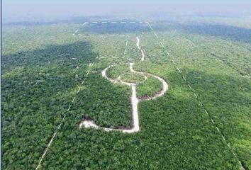 Lote de Terreno en  Puerto Morelos, Quintana Roo