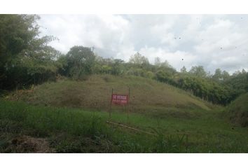 Lote de Terreno en  Cerritos, Pereira