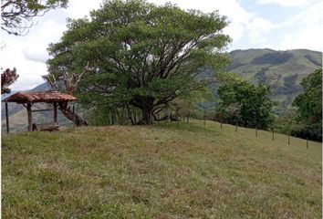 Lote de Terreno en  La Pintada, Antioquia