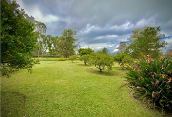 Lote de Terreno en  Rionegro Antioquía