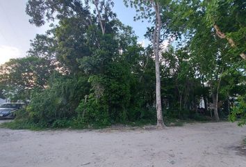 Lote de Terreno en  La Veleta, Tulum