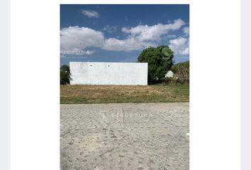 Lote de Terreno en  Calle Plaza De Armas Constitución, Atlixco Centro, Atlixco, Puebla, 74200, Mex