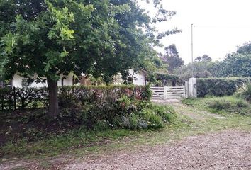 Casa en  C. 785, Provincia De Buenos Aires, Argentina