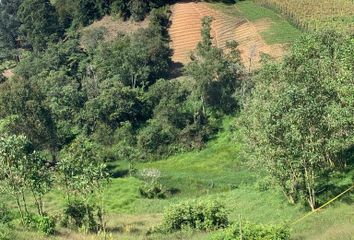 Lote de Terreno en  Cra. 33 #28-10, Marinilla, Antioquia, Colombia