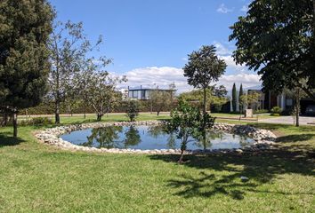 Terreno Comercial en  Tababela, Quito