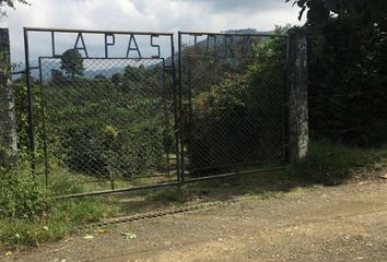 Lote de Terreno en  Centro, Pereira