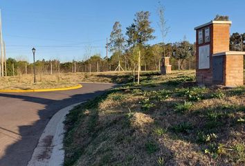 Terrenos en  Pilar Del Este, Partido Del Pilar