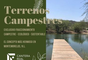 Lote de Terreno en  Montemorelos Centro, Montemorelos