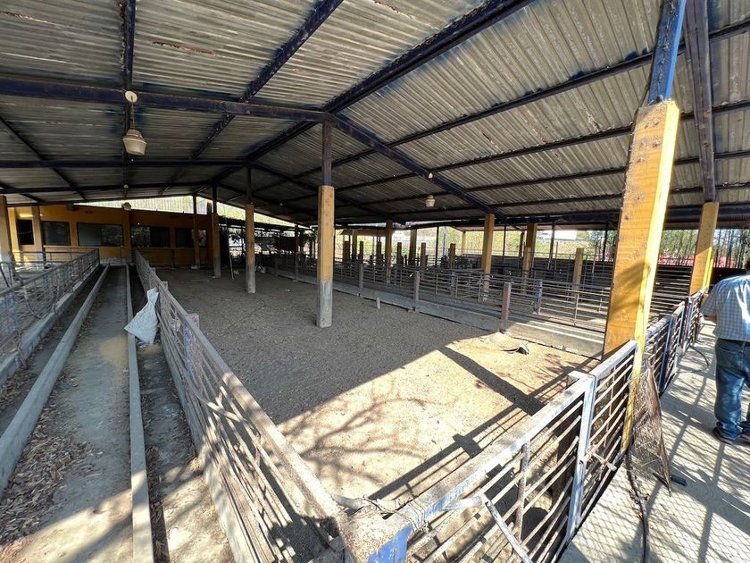 venta Rancho en La Antigua, Veracruz, Veracruz (p89JHSY-venta)- icasas.mx