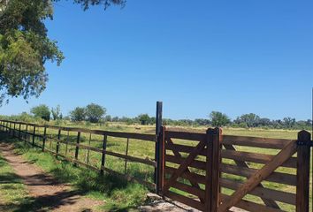 Terrenos en  Manzanares, Partido Del Pilar