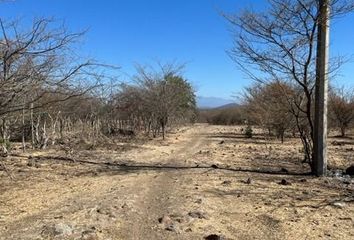 Lote de Terreno en  Pueblo El Campamento, Amacuzac