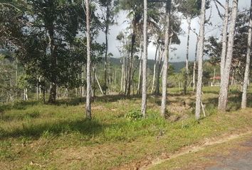 Lotes y Terrenos en  Utivé, Ciudad De Panamá