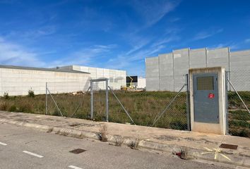 Terreno en  L'alcúdia, Valencia/valència Provincia