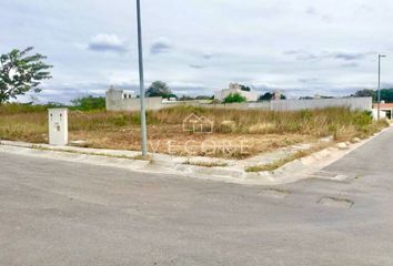 Terreno sobre carretera en Castamay Campeche.