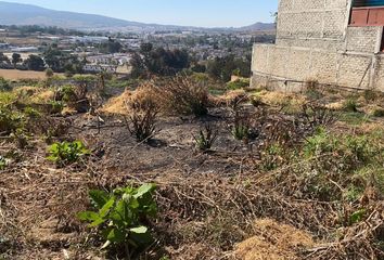 Lote de Terreno en  San Agustin, Tlajomulco De Zúñiga