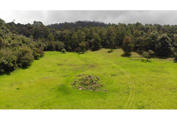 Lote de Terreno en  Avándaro, Valle De Bravo