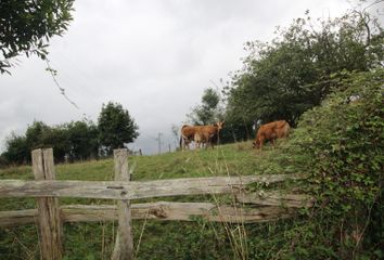 Terreno en  Peral, La (pola De Siero), Asturias