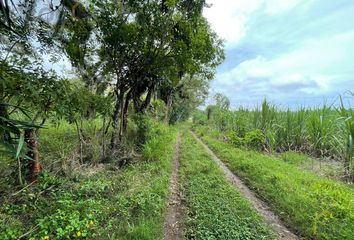 Lote de Terreno en  San Jerónimo, Coatepec, Coatepec, Veracruz