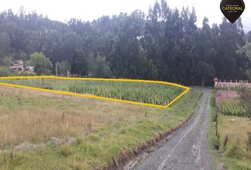 Terreno Comercial en  Valle, Cuenca