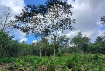 Lote de Terreno en  Bacalar, Bacalar, Bacalar, Quintana Roo