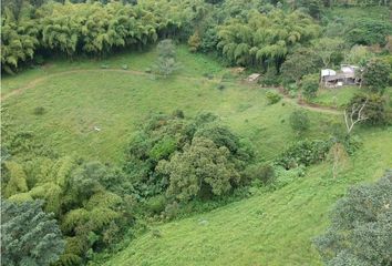 Lote de Terreno en  Cerritos, Pereira