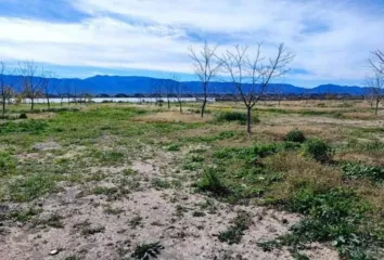 Rancho en  Calle Simón Bolívar, Parras De La Fuente, Parras, Coahuila, México