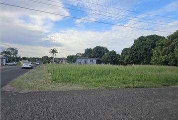 Lotes y Terrenos en  Barrio Balboa, La Chorrera