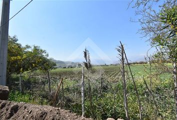 Parcela en  Colina, Chacabuco