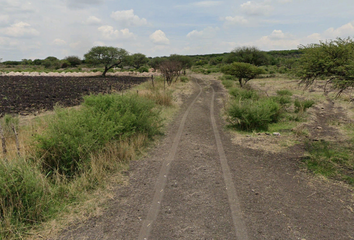 Lote de Terreno en  Ejido La Punta De Obrajuelo, Apaseo El Grande