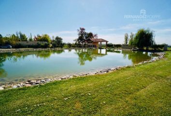 Terrenos en  Luján De Cuyo, Mendoza