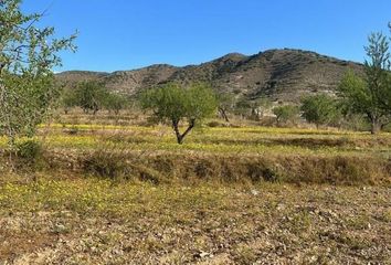 Terreno en  Tallante, Murcia Provincia