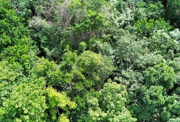 Lote de Terreno en  Bacalar, Bacalar, Bacalar, Quintana Roo